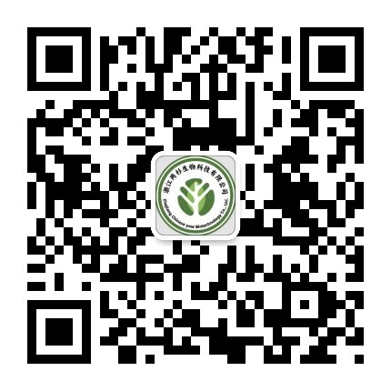 两杉科技